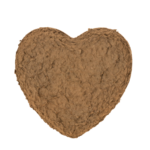 Hartvormig bloemenfoam OASIS® Renewal® Floral Foam Biolit® 26cm 2 stuks | Floristik24.nl
