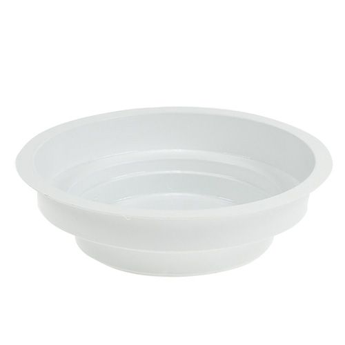 Artikel OASIS® Junior Bowl 12cm wit 25 st.