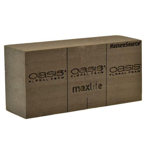 Floristik24 Oasis NatureSource Maxlife Steekschuim Baksteen Bruin 23×11×7,5cm 1 st