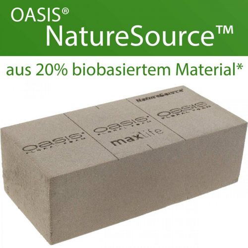 Floristik24 OASIS® BIOLIT® NatureSource steekschuim 23cm×11cm×7cm 10 stuks