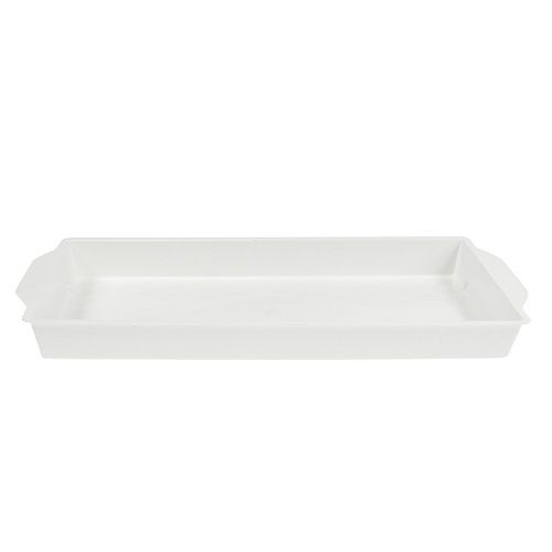 Floristik24 OASIS® insteekschaal wit 23cm x 11,5cm x 2,5cm 5 stuks