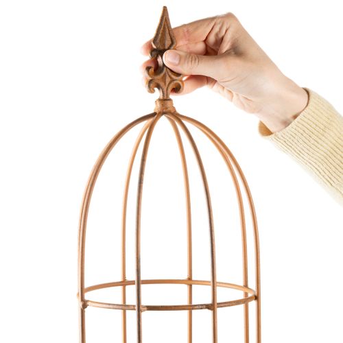 Artikel Tuinrek, klimhulp voor rozen en andere klimplanten, ideaal voor tuinontwerp, 108 cm, set van 2.