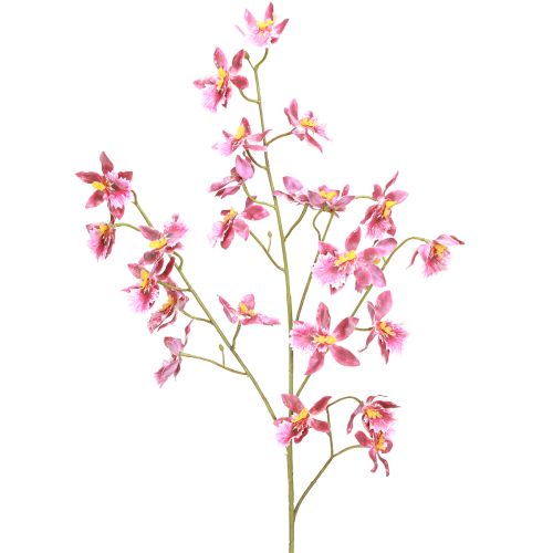 Floristik24 Oncidium Kunstorchideeën Decoratie Roze Violet 93cm 2st