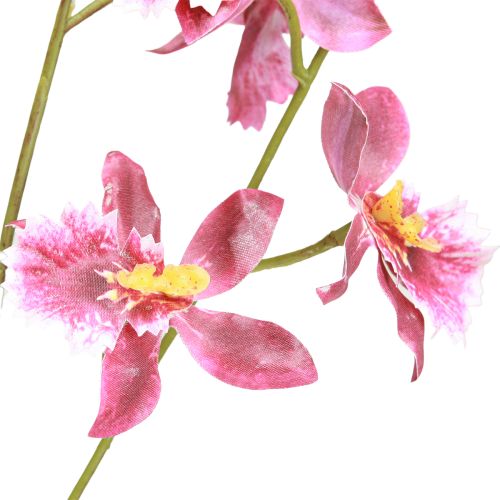 Artikel Oncidium Kunstorchideeën Decoratie Roze Violet 93cm 2st
