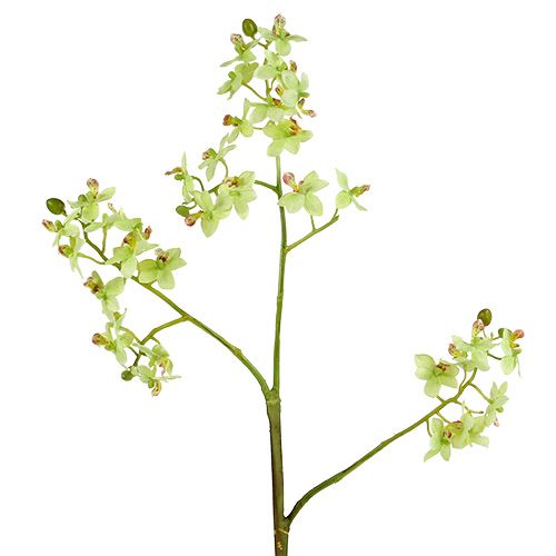 Floristik24 Orchidee 97cm lichtgroen