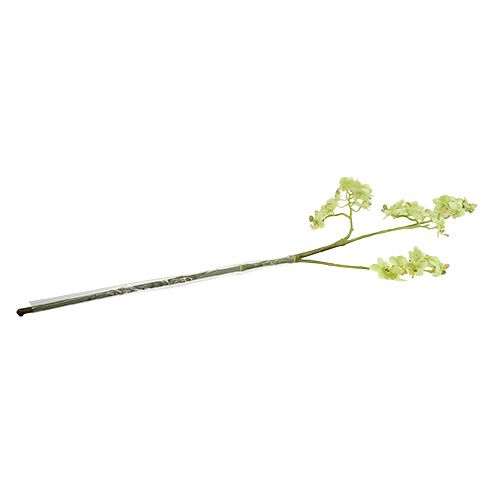 Floristik24 Orchidee 97cm lichtgroen
