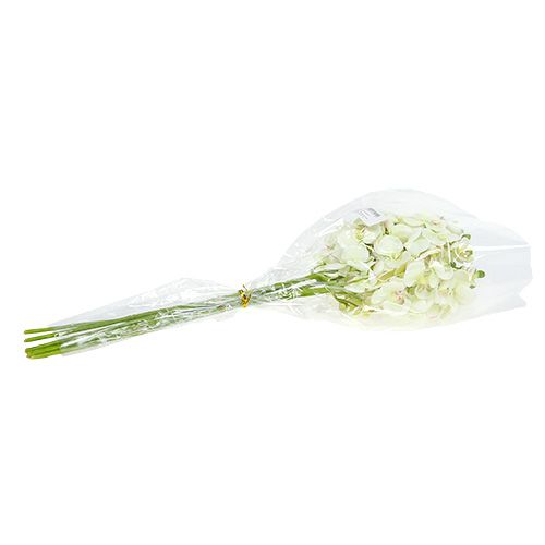 Artikel Orchidee lichtgroen 56cm 6st