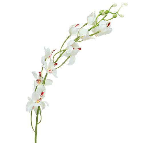 Floristik24 Orchidee Mokara Wit 92cm 3st