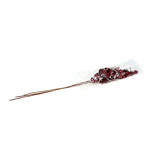 Floristik24 Orchidee Oncidium 70cm donkerrood 3st
