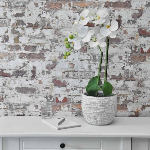 Floristik24 Orchidee Wit op 65cm bol