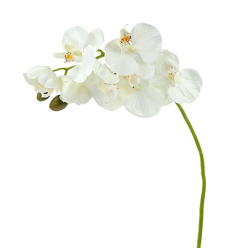 Floristik24 Orchidee wit kunstmatig L73cm 4st