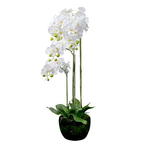 Orchidee wit met wereldbol 110cm