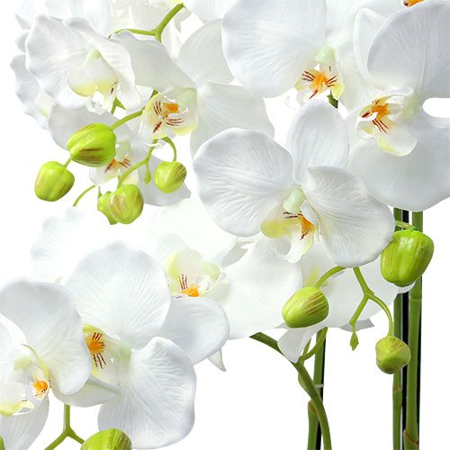 Artikel Orchidee wit met wereldbol 110cm