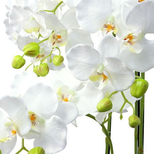 Floristik24 Orchidee wit met wereldbol 110cm