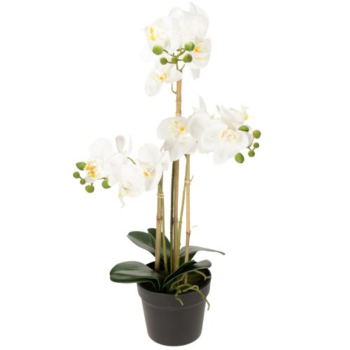 Kunstmatige orchidee in een pot voor een harmonieuze sfeer, wit, 60 cm