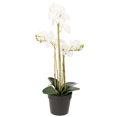 Artikel Kunstmatige orchidee in een pot voor een harmonieuze sfeer, wit, 60 cm