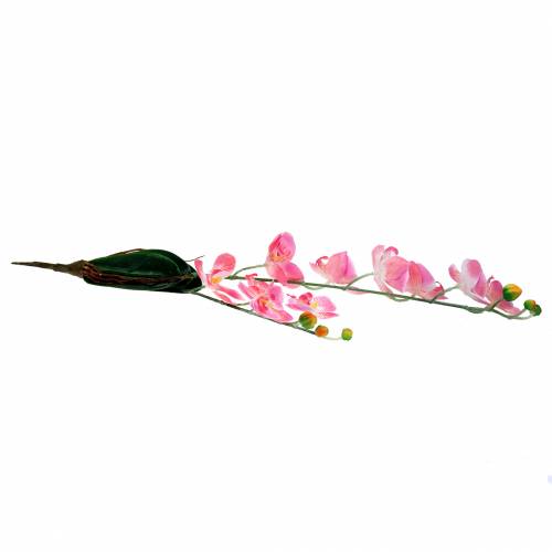 Floristik24 Orchidee Phalaenopsis kunstroze 60cm