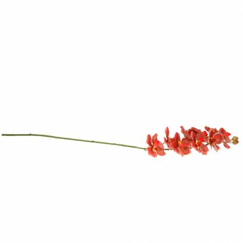 Floristik24 Kunstorchidee Phaelaenopsis Rood, Oranje H81cm