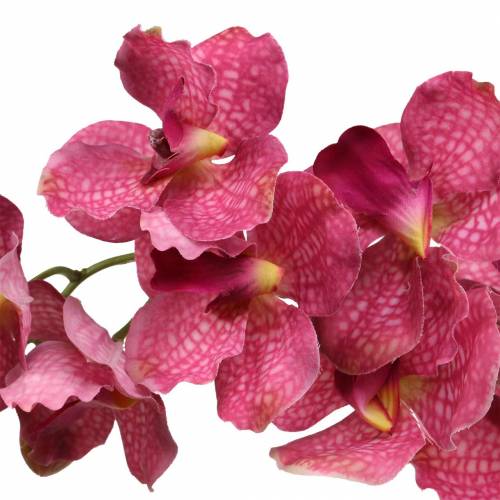 Floristik24 Orchidee kunsttak Roze H83cm