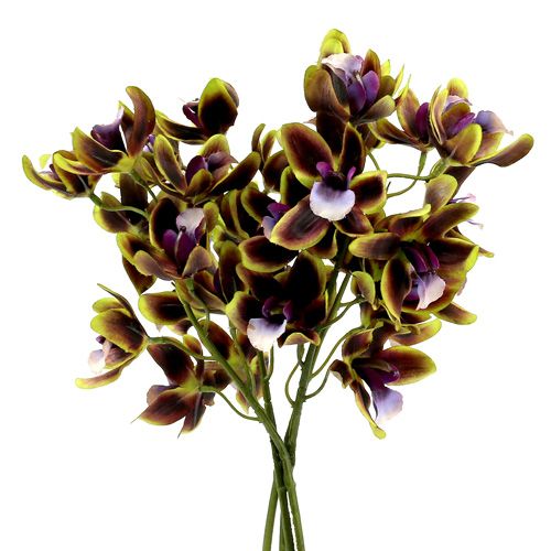 Floristik24 Orchidee Cymbidium Groen, Paars L38cm 4st