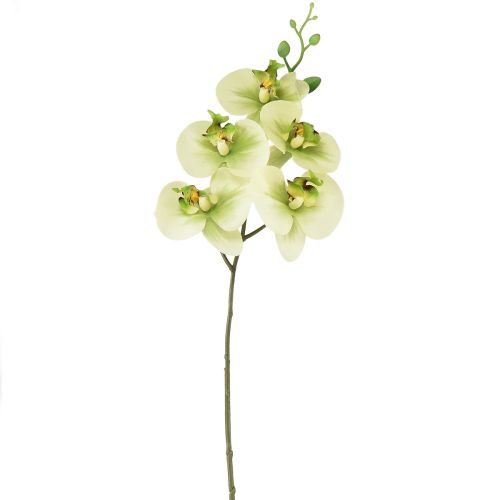 Orchidee Kunst Geelgroene Phalaenopsis 85cm