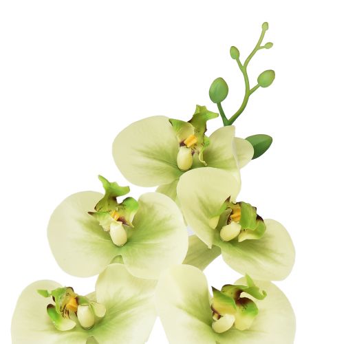 Artikel Orchidee Kunst Geelgroene Phalaenopsis 85cm