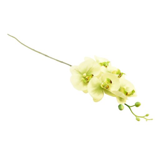 Artikel Orchidee Kunst Geelgroene Phalaenopsis 85cm