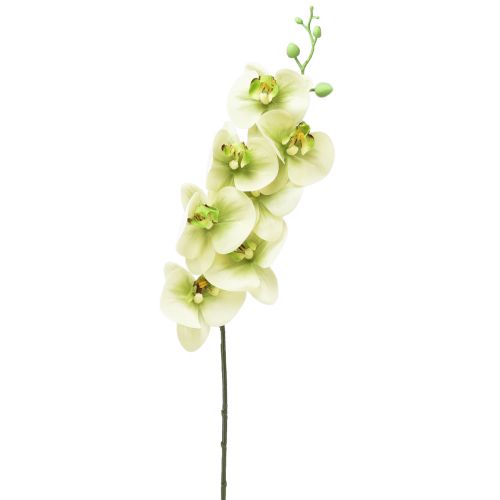 Artikel Orchidee Kunst Geelgroene Phalaenopsis L83cm