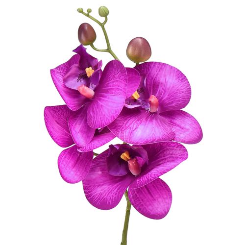 Orchidee Kunst Phalaenopsis 4 bloemen Fuchsia 72cm