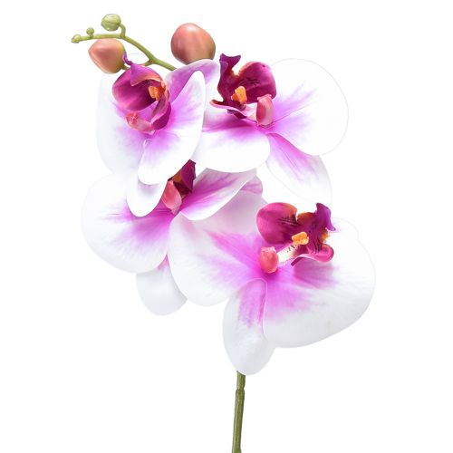 Orchidee Kunst Phalaenopsis 4 Bloemen Wit Roze 72cm
