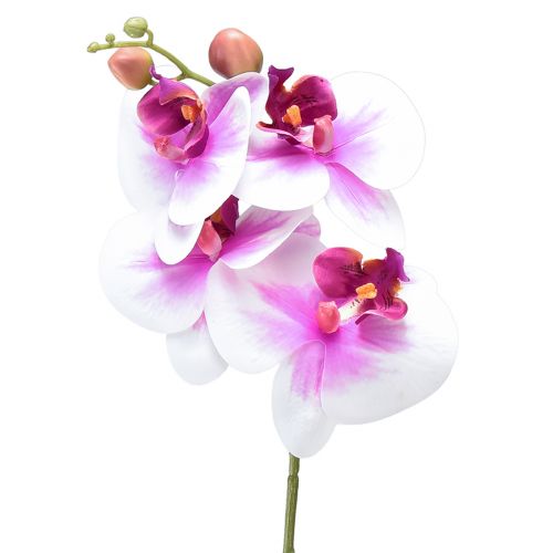 Floristik24 Orchidee Kunst Phalaenopsis 4 Bloemen Wit Roze 72cm