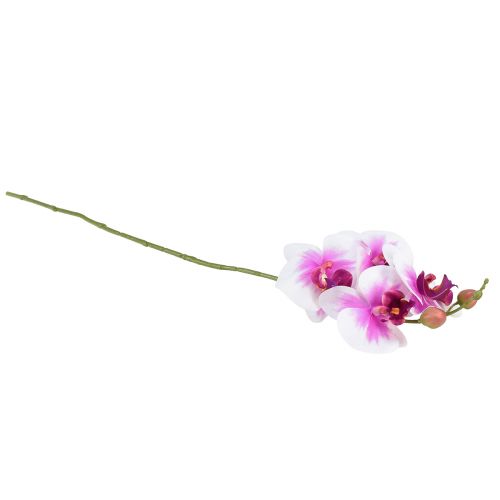 Artikel Orchidee Kunst Phalaenopsis 4 Bloemen Wit Roze 72cm