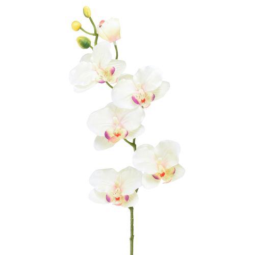 Orchidee Phalaenopsis kunst 6 bloemen crème roze 70cm