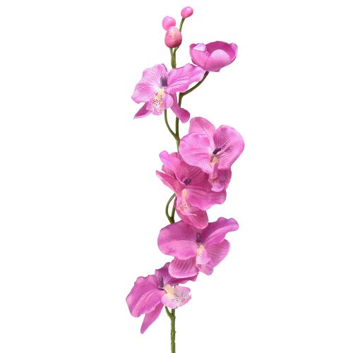 Floristik24 Orchidee Phalaenopsis kunst 6 bloemen paars 70cm