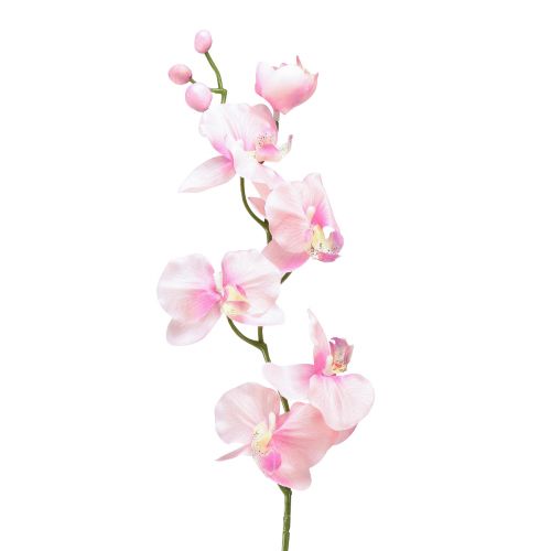 Orchidee Phalaenopsis kunst 6 bloemen roze 70cm