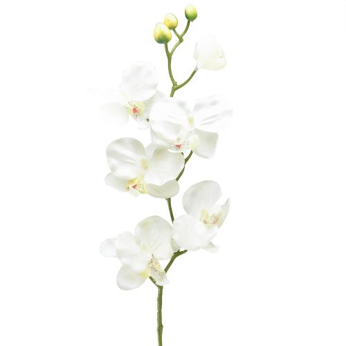 Orchidee Phalaenopsis kunst 6 bloemen wit crème 70cm