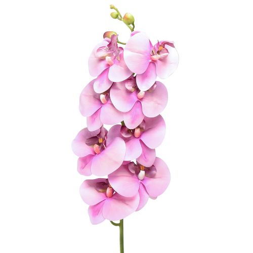 Orchidee Phalaenopsis kunst 8 bloemen roze 104cm