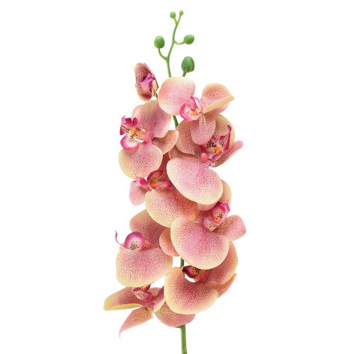Orchidee Phalaenopsis kunst 9 bloemen roze vanille 96cm