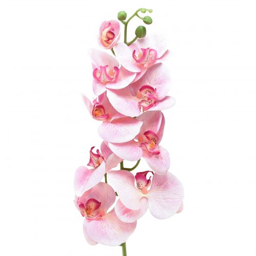 Orchidee Phalaenopsis kunst 9 bloemen roze wit 96cm