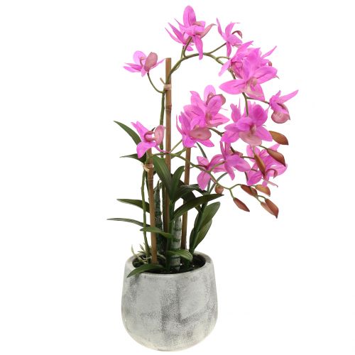 Floristik24 Orchidee in violette pot H55cm