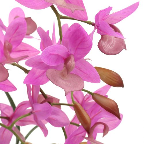 Artikel Orchidee in violette pot H55cm
