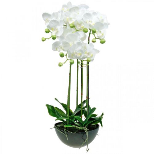 Floristik24 Kunstorchideeën in pot wit kunstplant 63cm