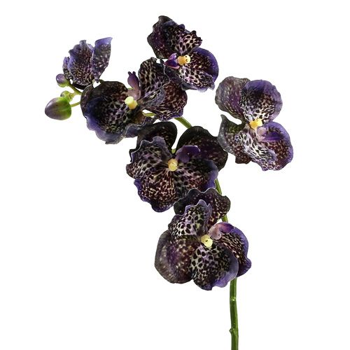Floristik24 Orchid Vanda kunstviolet L 44cm