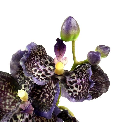 Floristik24 Orchid Vanda kunstviolet L 44cm