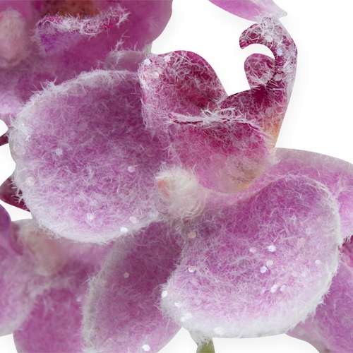 Floristik24 Orchidee met glitter, roze 35cm