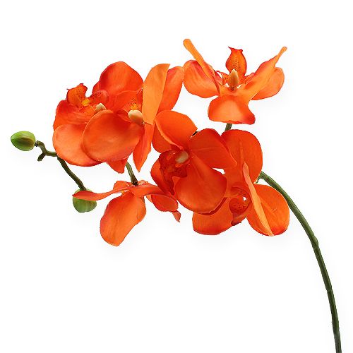 Floristik24 Orchidee tak oranje 61cm
