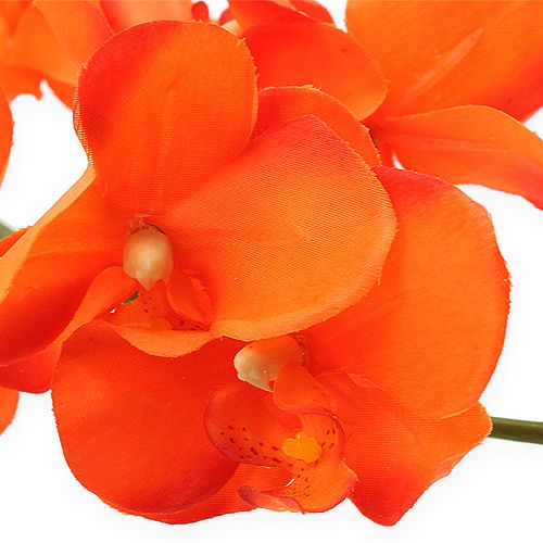 Floristik24 Orchidee tak oranje 61cm