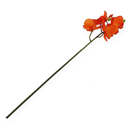 Floristik24 Orchidee tak oranje 61cm