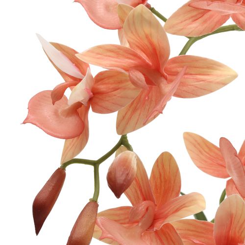 Floristik24 Orchidee in een zalmpot H41cm