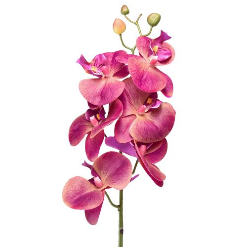 Kunstorchidee Phalaenopsis Orchidee Fuchsia 78cm